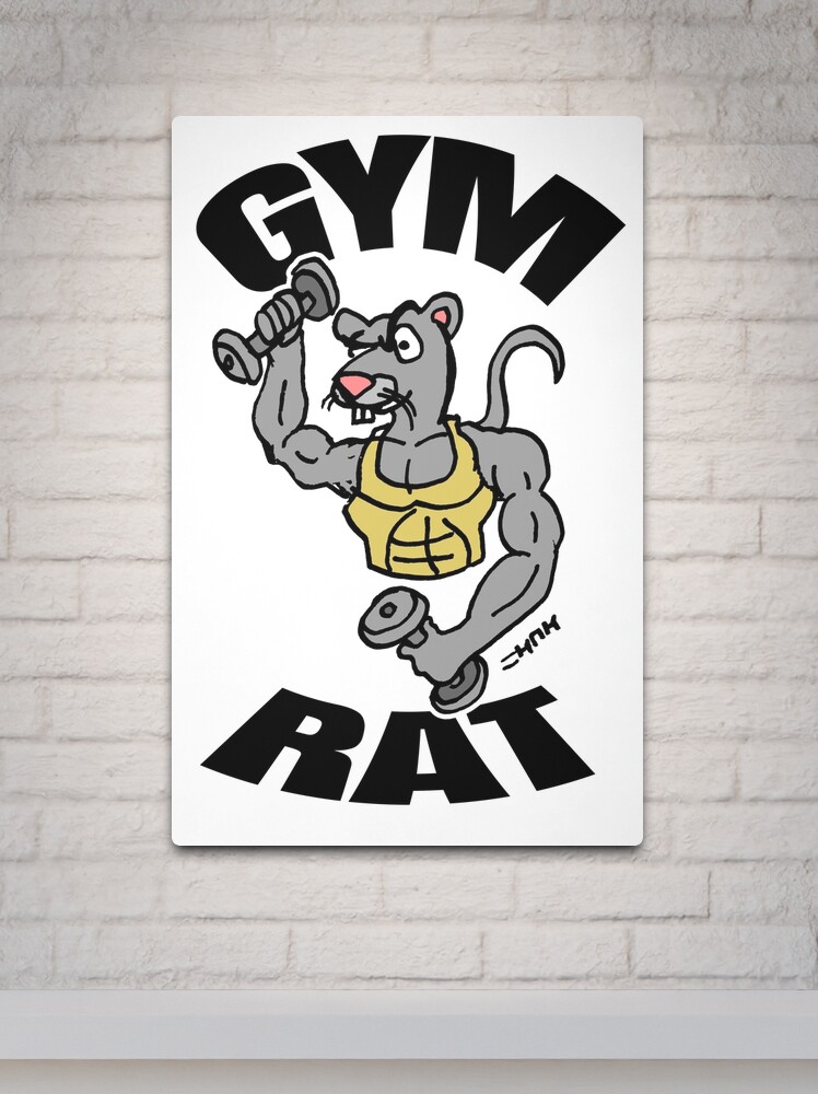 Gym Rat' Poster, picture, metal print, paint by Mesh