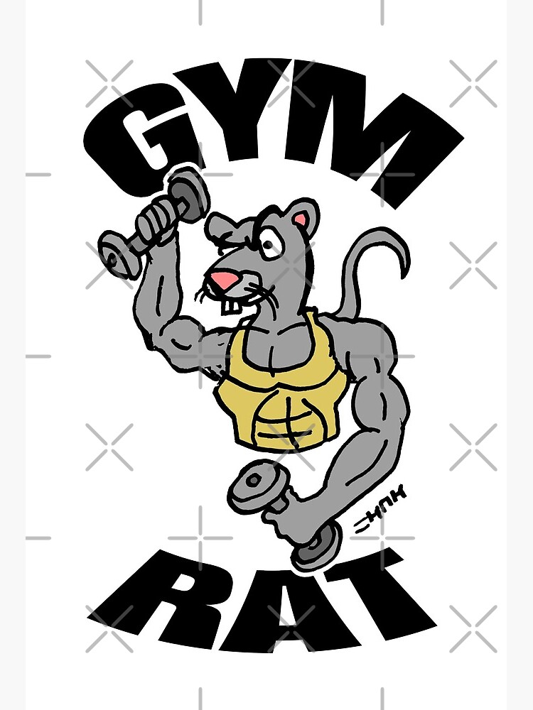 Understanding Gym Rat 