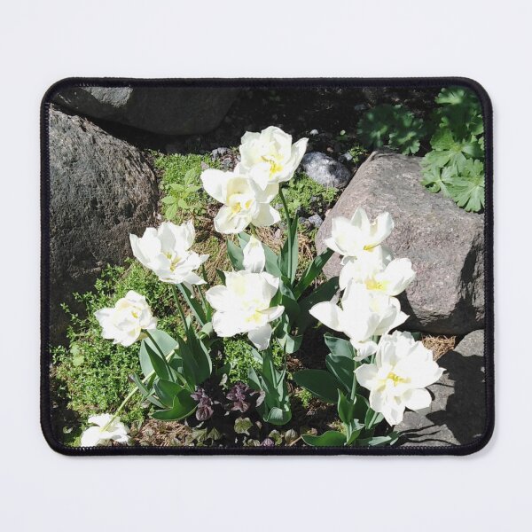 Item preview, White daffodil brings longing for spring designed and sold by Raigitam.