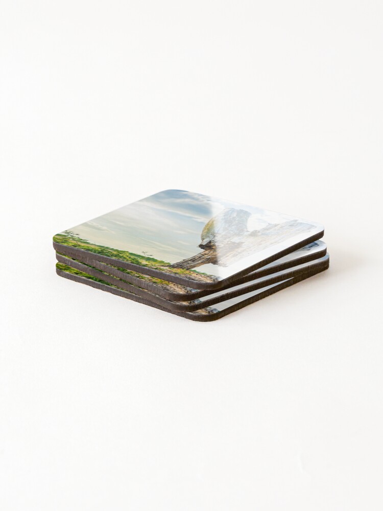 Thumbnail 4 of 5, Coasters (Set of 4), Stumpy designed and sold by arc1.
