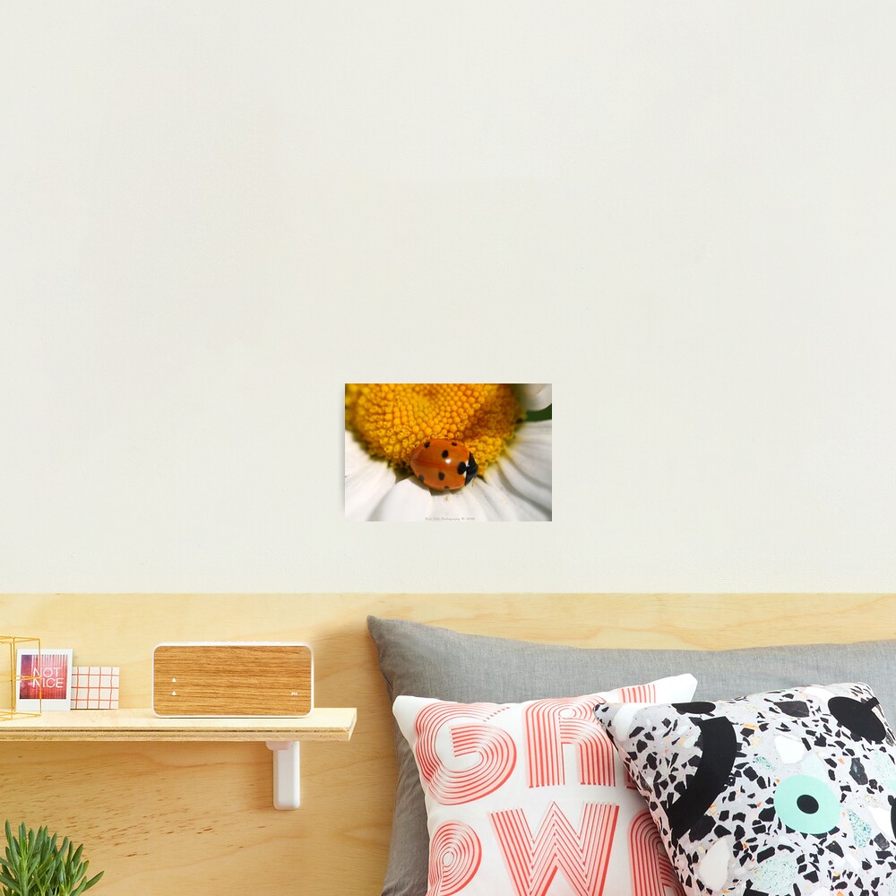 Item preview, Photographic Print designed and sold by RickVink.