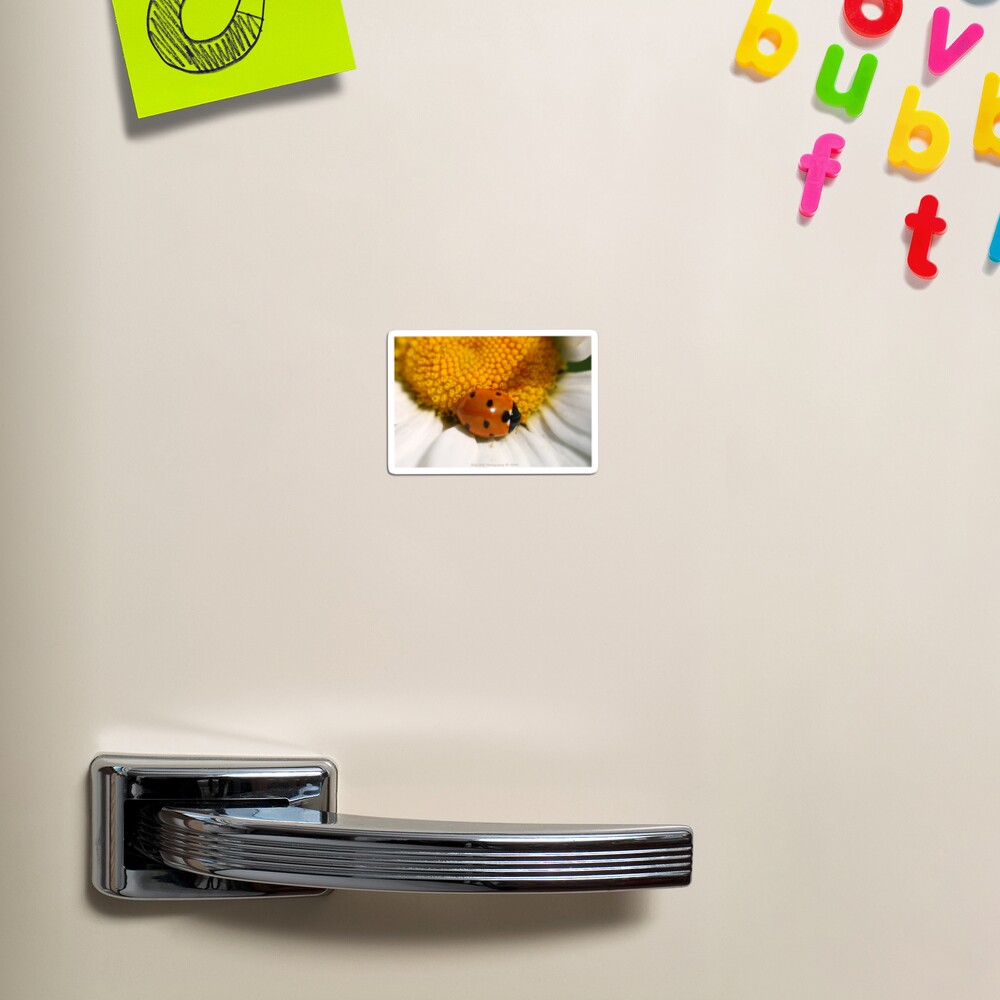 Item preview, Magnet designed and sold by RickVink.