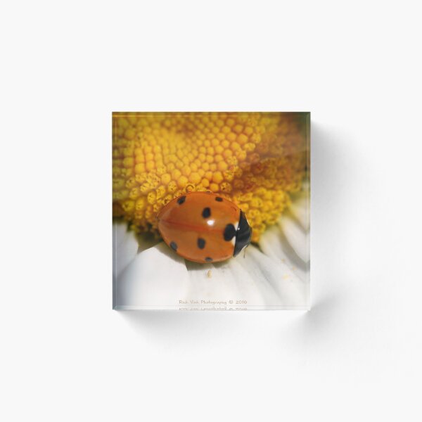 Item preview, Ladybug designed and sold by RickVink.