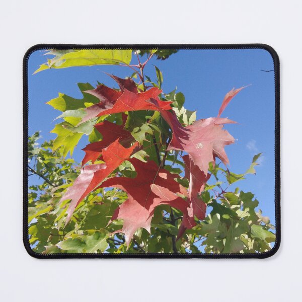 Item preview, Yep, fall is definitely here designed and sold by Raigitam.