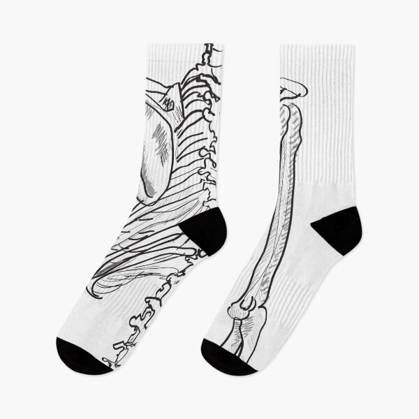 Item preview, human skeleton back view hand-drawn sketch  designed and sold by KARTICK DUTTA.