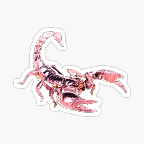 LostScorpion Pink Lemonade Sticker