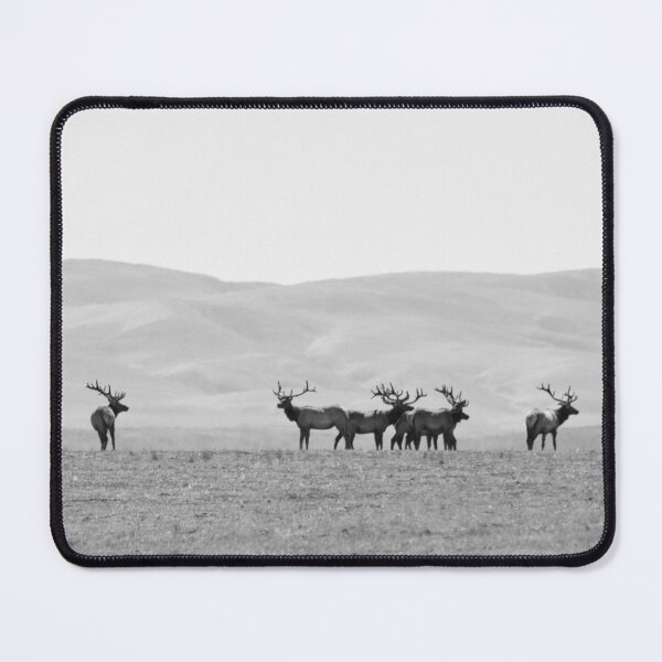 Item preview, Tule Elk Bulls designed and sold by ArtbyAdriane.