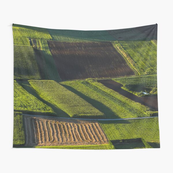 Green and brown fields before the sunset Tapestry