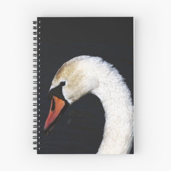 Aperçu de l'œuvre Cygne créée et vendue par RickVink.