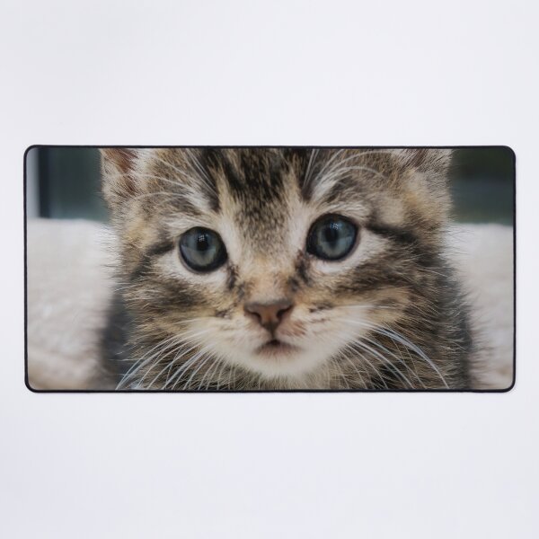 Item preview, Kitten Portrait designed and sold by Dawn van Doorn.