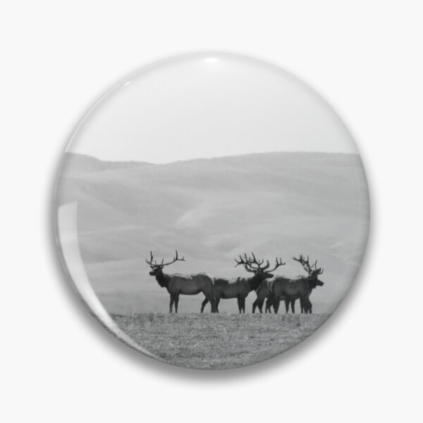 Item preview, Tule Elk Bulls designed and sold by ArtbyAdriane.