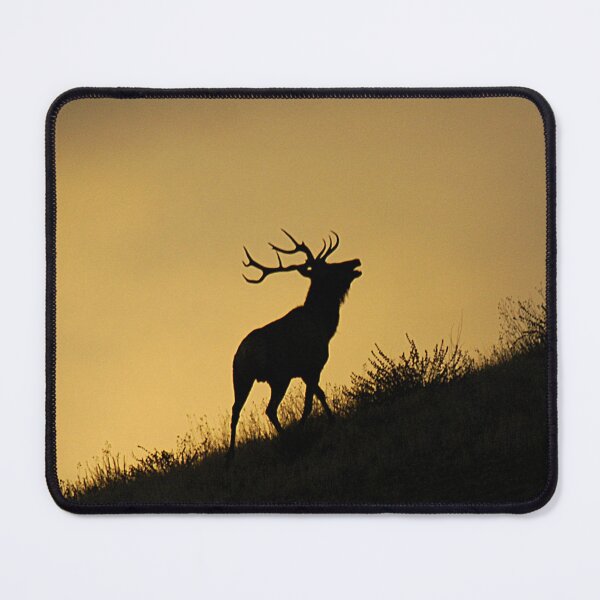 Item preview, Elk Bugling designed and sold by ArtbyAdriane.