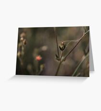 Breakable Greeting Card