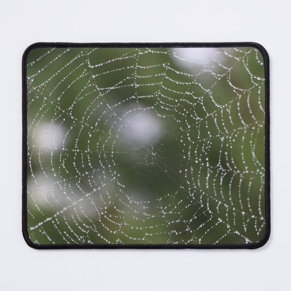 Item preview, Dewy Spider Web designed and sold by Spindrifter Studio.