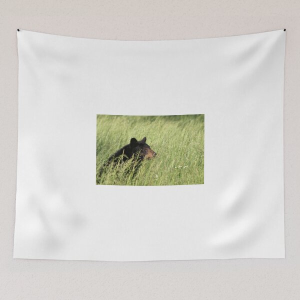 Item preview, Black Bear @ Great Smoky Mountains National Park designed and sold by RickVink.