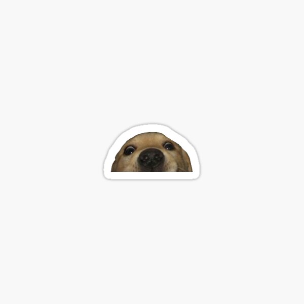 Sus dog meme Sticker for Sale by TheBigSadShop