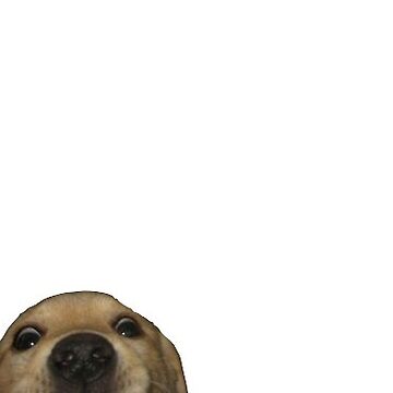 Artwork thumbnail, Doggo by carolinepvoigt