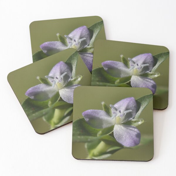Item preview, September Wildflower  designed and sold by Tonia Delozier's Photography .