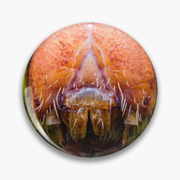 Item preview, Giant Silk Moth Caterpillar - Polyphemus designed and sold by AronsTinySafari.