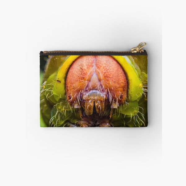 Item preview, Giant Silk Moth Caterpillar - Polyphemus designed and sold by AronsTinySafari.