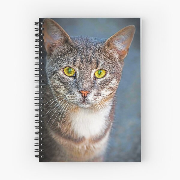 Item preview, cute cat designed and sold by KDTB Clothes.