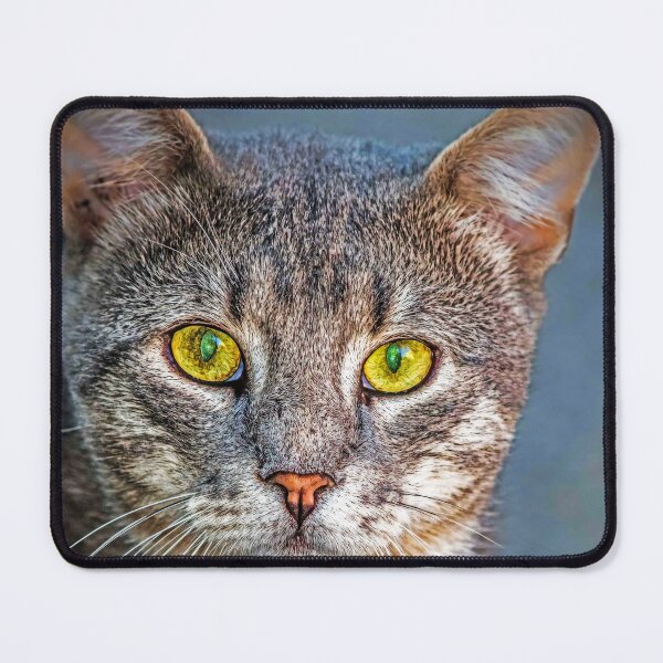 Item preview, cute cat designed and sold by KDTB Clothes.