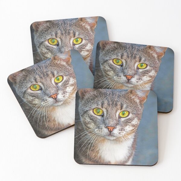 Item preview, cute cat designed and sold by KDTB Clothes.