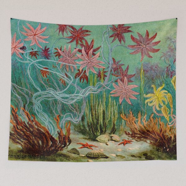 Item preview, Crinoids designed and sold by Twisted Wick.
