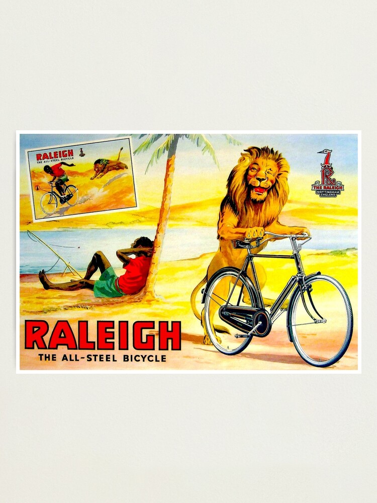 Raleigh best sale steel bike