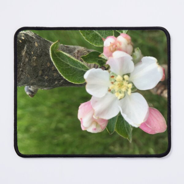Item preview, Apple Blossom  designed and sold by Amanda1775.