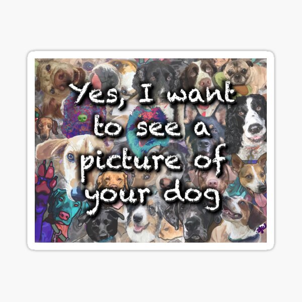 "Show me your dog" Sticker for Sale by doodlemittens Redbubble