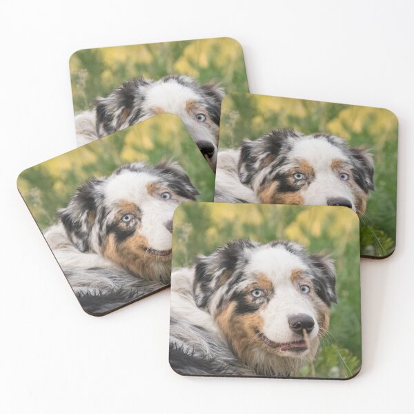 Item preview, Australian Shepherd Tri Black designed and sold by DesignVertex.