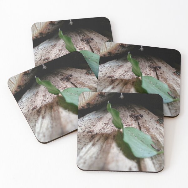 Item preview, RUNAWAY designed and sold by Minuik.