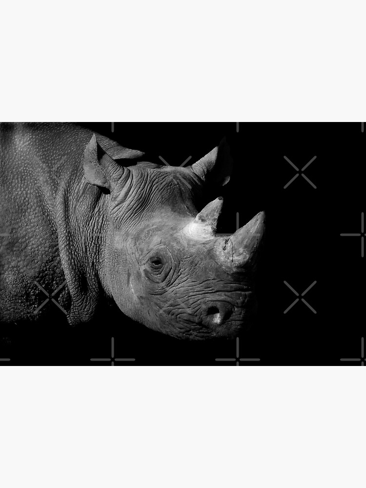 "Black Rhino Close Up Black and White Rhino Wildlife Photography