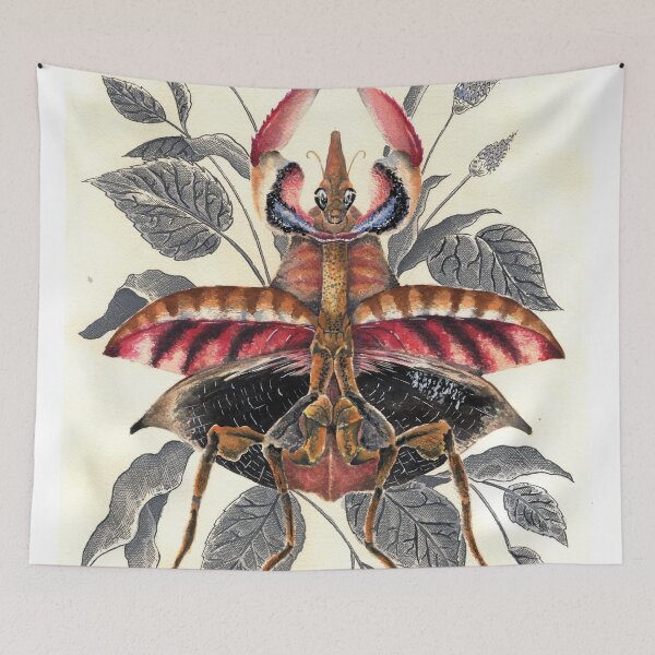 Item preview, Praying Mantis Scientific Illustration designed and sold by MarkADArt.