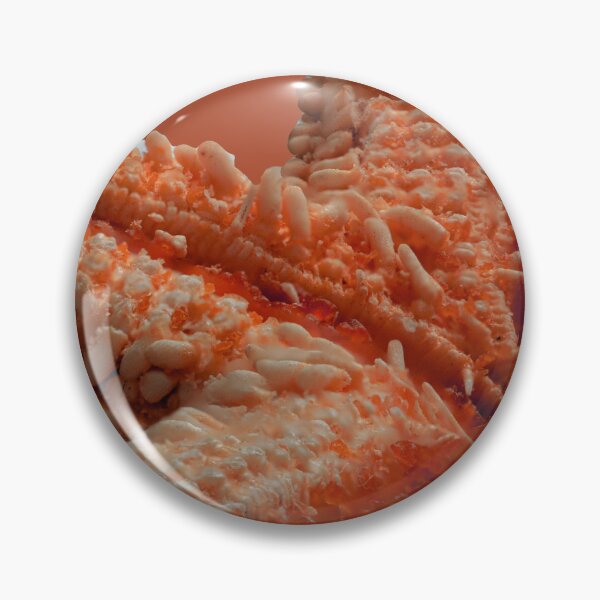 Item preview, Macro of a Dried Starfish designed and sold by MelBolin.