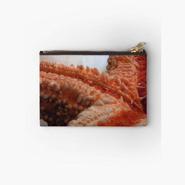 Item preview, Macro of a Dried Starfish designed and sold by MelBolin.