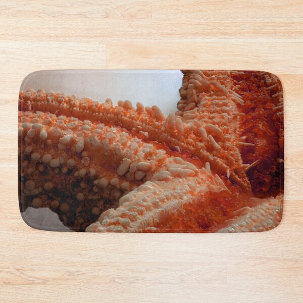 Item preview, Macro of a Dried Starfish designed and sold by MelBolin.