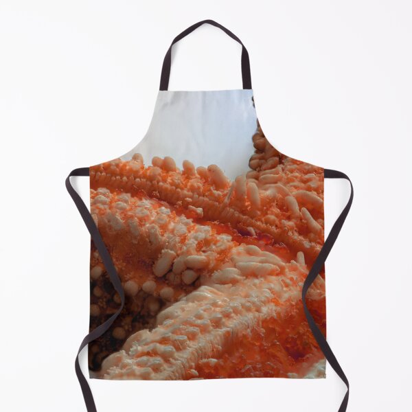 Item preview, Macro of a Dried Starfish designed and sold by MelBolin.
