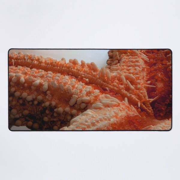 Item preview, Macro of a Dried Starfish designed and sold by MelBolin.