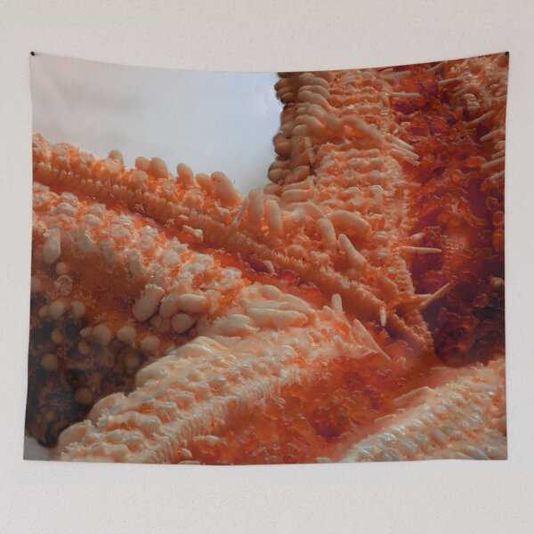 Item preview, Macro of a Dried Starfish designed and sold by MelBolin.