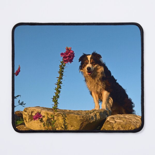 Item preview, Once in a While... designed and sold by Michael Haslam.