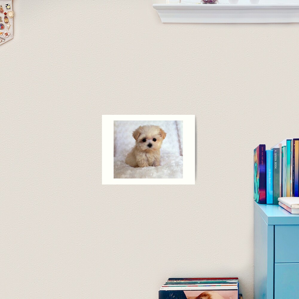 Item preview, Art Print designed and sold by BigTomo.