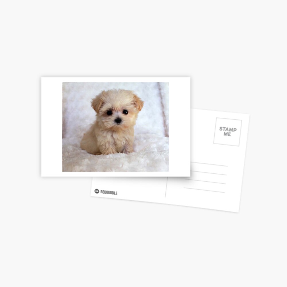Item preview, Postcard designed and sold by BigTomo.