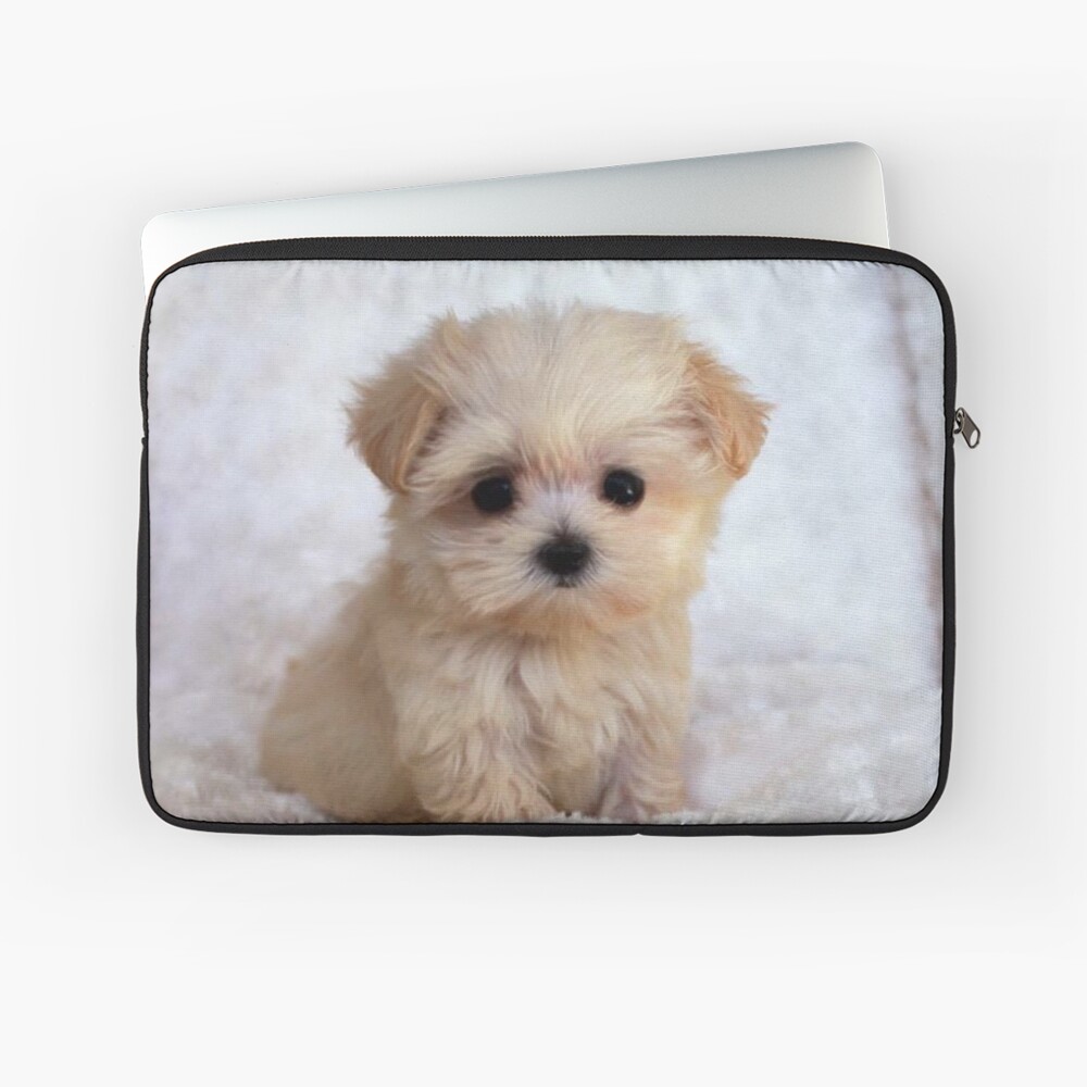 Item preview, Laptop Sleeve designed and sold by BigTomo.
