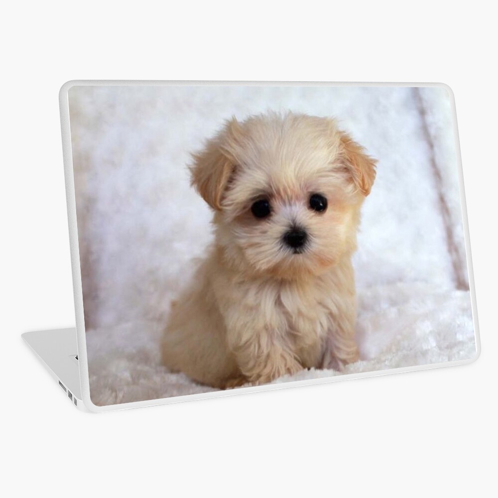 Item preview, Laptop Skin designed and sold by BigTomo.