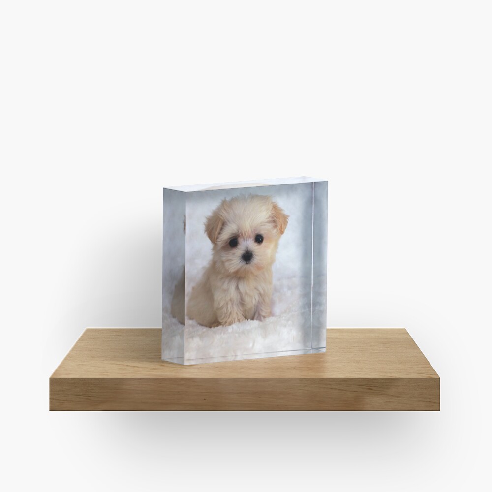 Item preview, Acrylic Block designed and sold by BigTomo.