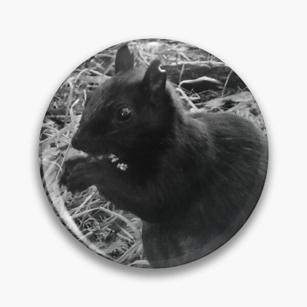 Item preview, Black Squirrel designed and sold by Shulie1.