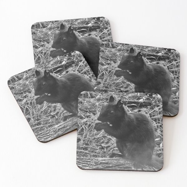 Item preview, Black Squirrel designed and sold by Shulie1.
