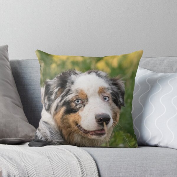 Item preview, Australian Shepherd Tri Black designed and sold by DesignVertex.